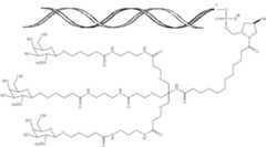 Figure US10683504-20200616-C00002