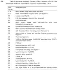 Figure imgf000016_0001