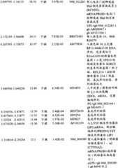 Figure BPA00001280678300851