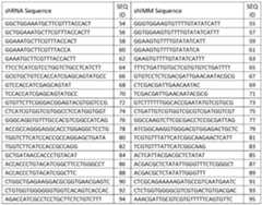 Figure imgf000036_0001
