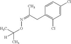 Figure US08258169-20120904-C00042