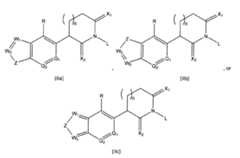 Figure imgf000046_0002