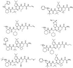 Figure imgf000316_0002