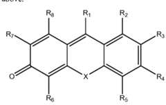 Figure imgf000013_0002