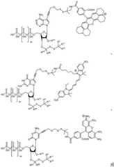 Figure BDA0003670511740001595