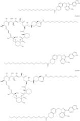 Figure US11364300-20220621-C00417