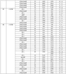 Figure BDA0002188388260000451