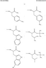 Figure imgf000013_0001