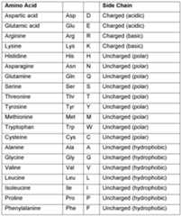 Figure imgf000062_0001