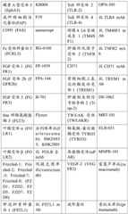 Figure BDA0002951888040000391