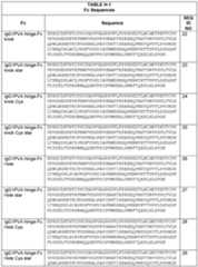 Figure imgf000060_0001