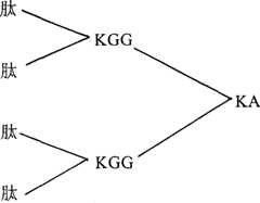 Figure A0080835800511