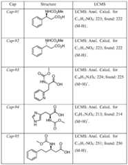 Figure imgf000098_0002