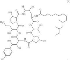 Figure US12344680-20250701-C00007