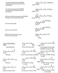 Figure imgf000017_0001