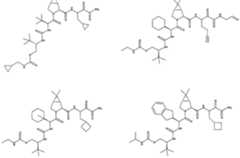 Figure imgf000251_0003