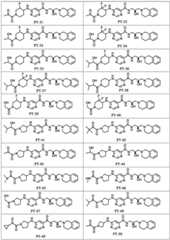 Figure BDA0002854352890000081