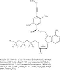 Figure US08889860-20141118-C00030