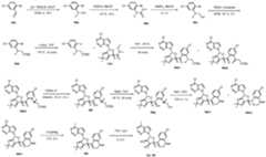 Figure imgf000161_0001