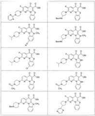 Figure imgf000061_0001