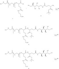 Figure US11135307-20211005-C00400