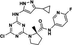 Figure GPA00001066806500411