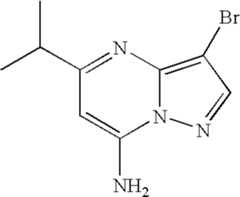 Figure US07119200-20061010-C01493