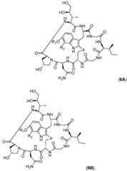 Figure imgf000077_0001