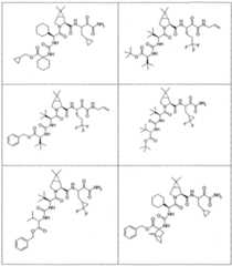 Figure imgf000195_0001