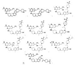 Figure 106108622-A0305-02-0289-13