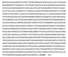 Figure 2022153375000026