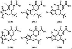 Figure FDA0003141290400000061