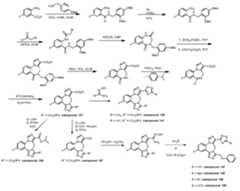 Figure imgf000241_0001