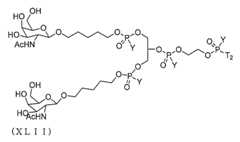 Figure 2023012548000381