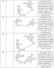 Figure BDA0002964098100003001