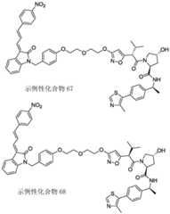 Figure BDA0003027048450003481