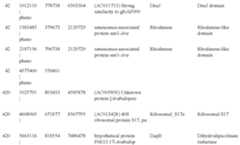 Figure US09029523-20150512-C00011