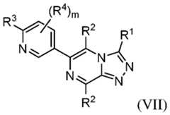 Figure imgf000040_0002