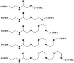 Figure FDA0003723571570000041