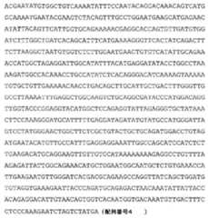 Figure 2022023184000007