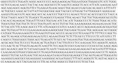 Figure PCTCN2022073808-appb-000076