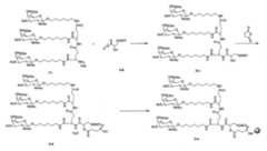 Figure 110128808-A0202-12-0201-474