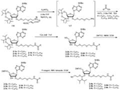Figure imgf000153_0001