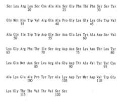 Figure 104119613-A0202-12-0239-219