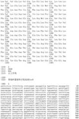 Figure IDA0002536600790000041