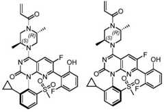 Figure BDA0002861043520001133