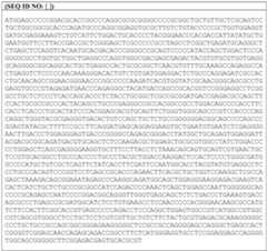 Figure imgf000022_0001