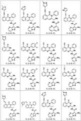 Figure BDA0003142399140001021