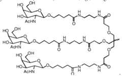 Figure imgf000008_0001