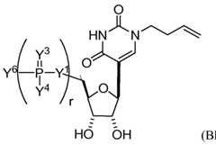 Figure imgf000147_0002
